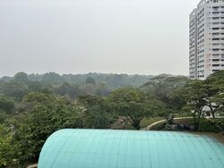 Blk 214 Petir Road (Bukit Panjang), HDB 3 Rooms #631554291